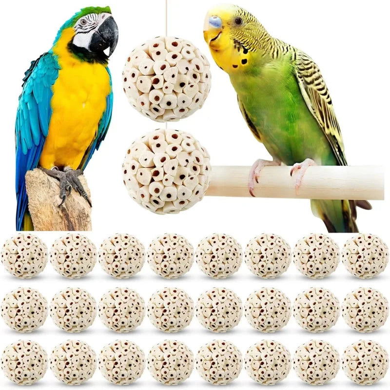 Bird toys with two parrots on a white background