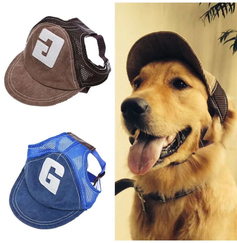 Dog wearing a brown cap with a blue vest, next to a close-up of the dog and product.