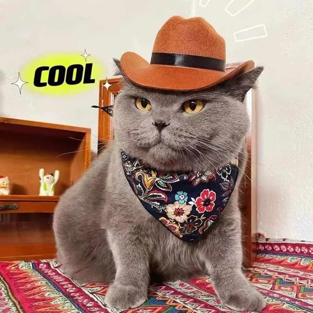 Cat wearing a cowboy hat and bandana with a 'COOL' text bubble in a room setting.