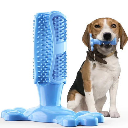 Cactus Dental Chew Toy: Self-Cleaning Toothbrush & Treat Dispenser for All Dogs