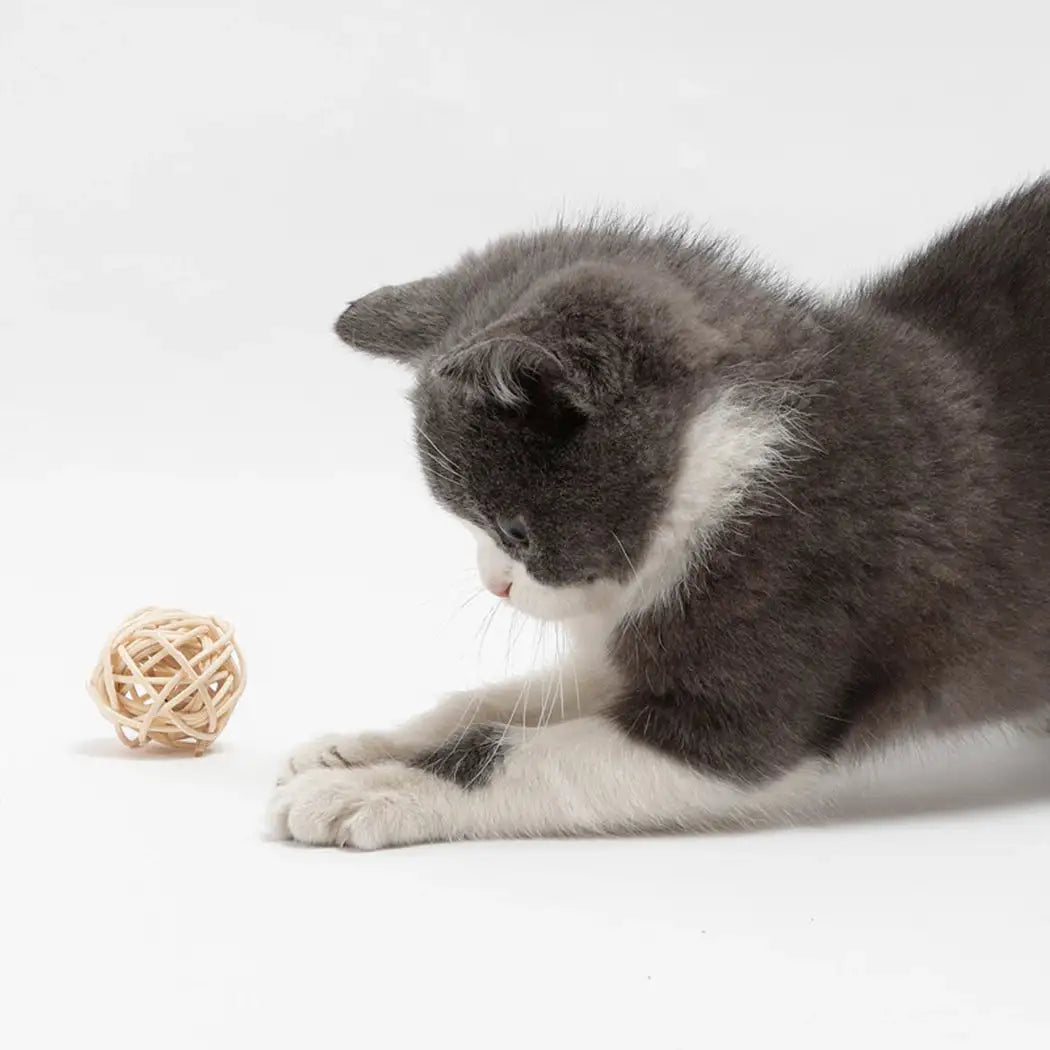 Rattan & Feather Ball Set - Interactive Cat Toys