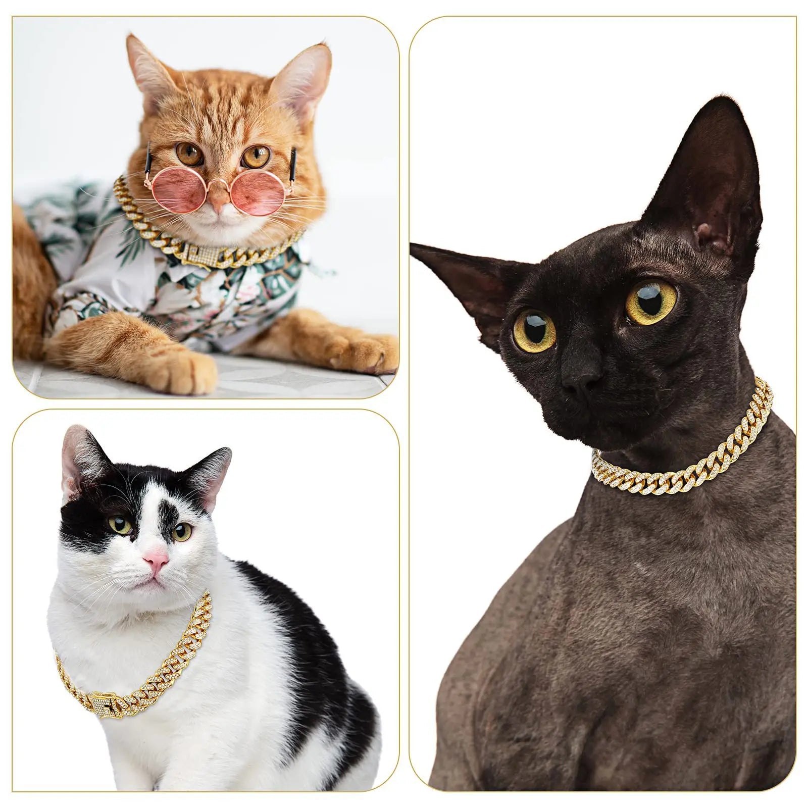 Four cats wearing decorative collars on a white background