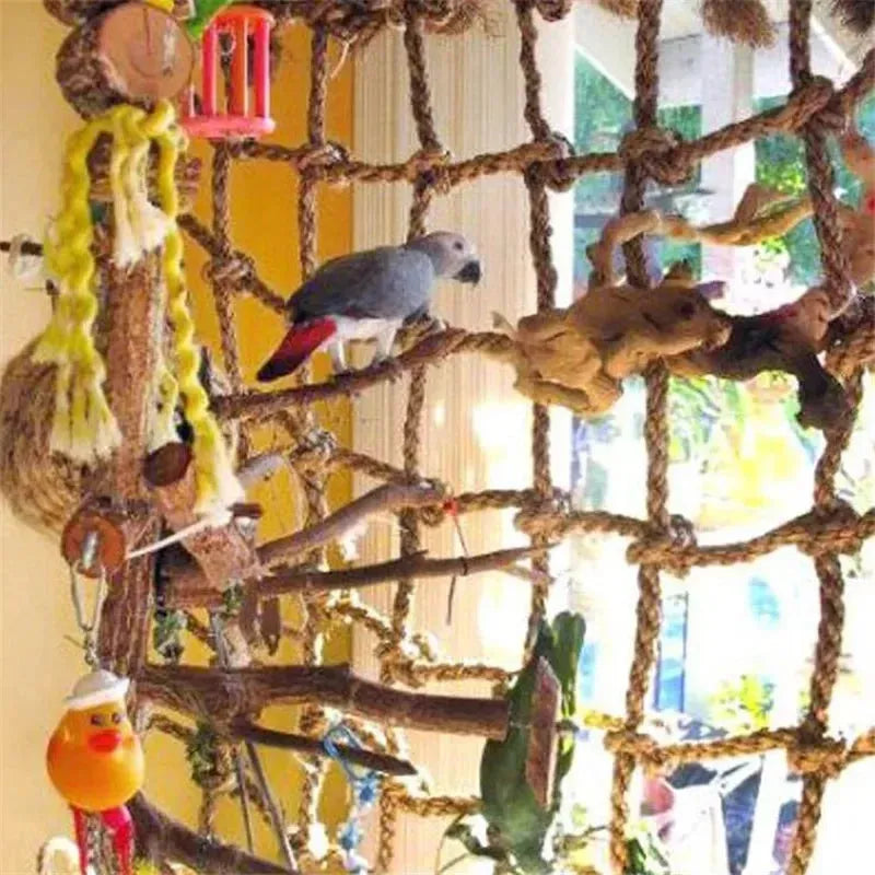 Bird perched on a rope climbing frame with toys