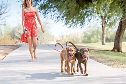 2-in-1 Auto-Retract Dual Dog Leash: LED Light + Tangle-Proof 360° Swivel & Poop Bag Dispenser