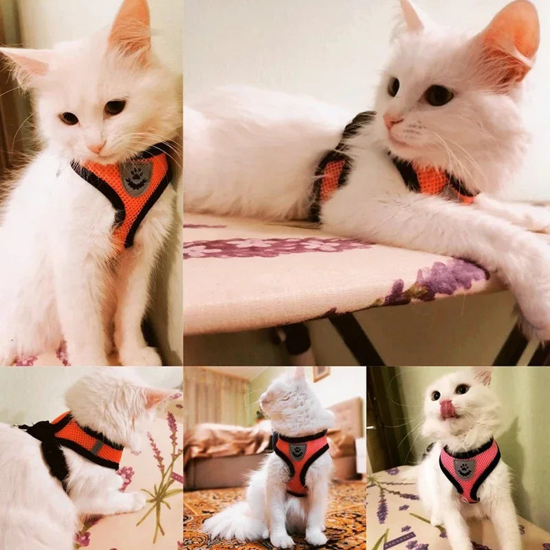Adjustable Cat & Dog Harness Vest – Comfortable Walking Lead & Leash for Small to Medium Pets!