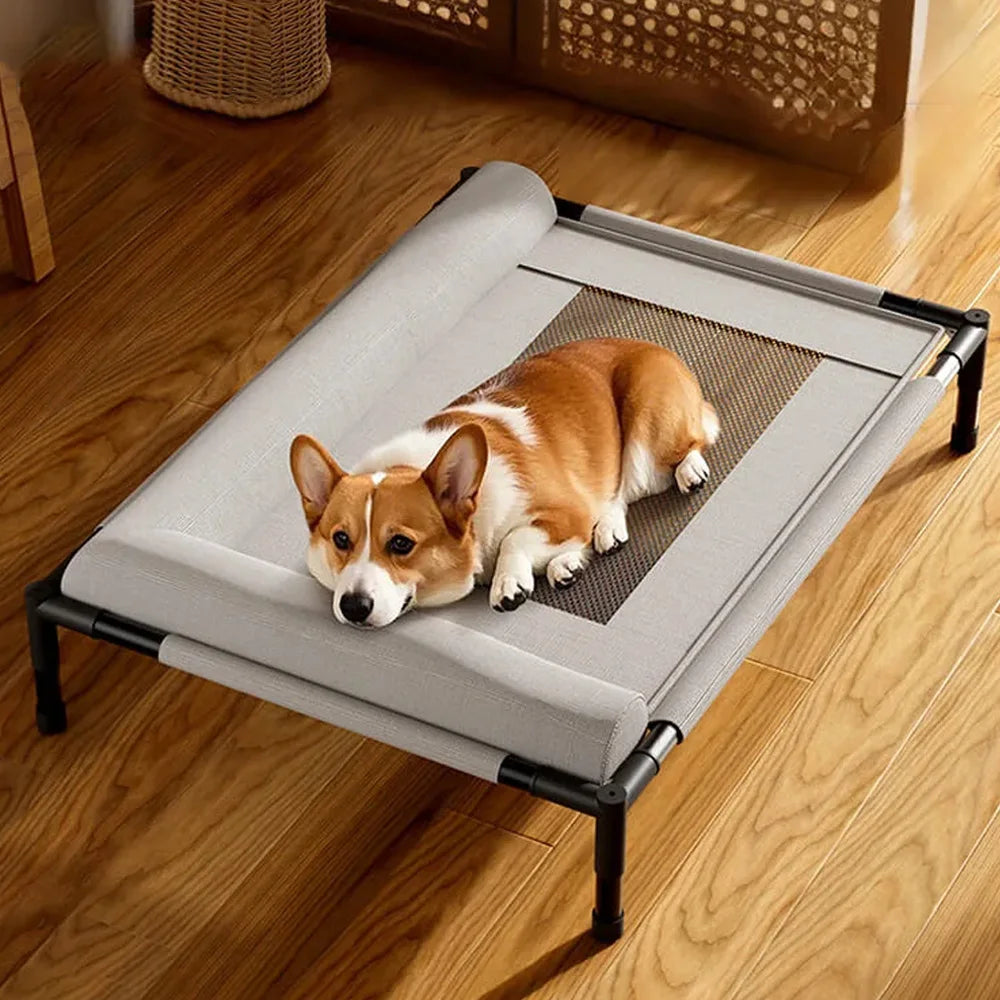 Dog lying on a pet bed with mesh bottom on a wooden floor