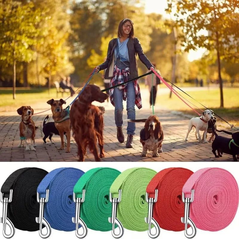 Woman walking multiple dogs on leashes in a park with colorful dog leashes displayed below.