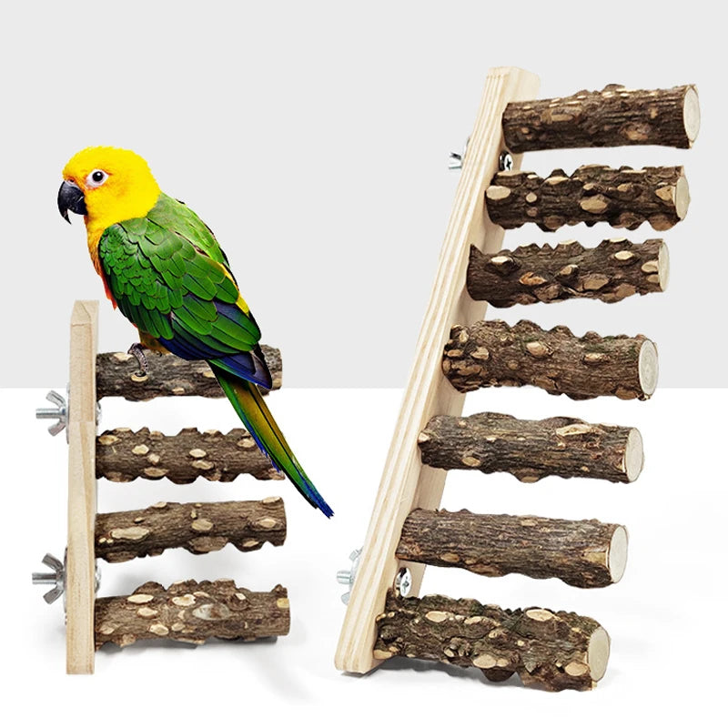 Colorful parrot perched on a wooden climbing ladder against a white background