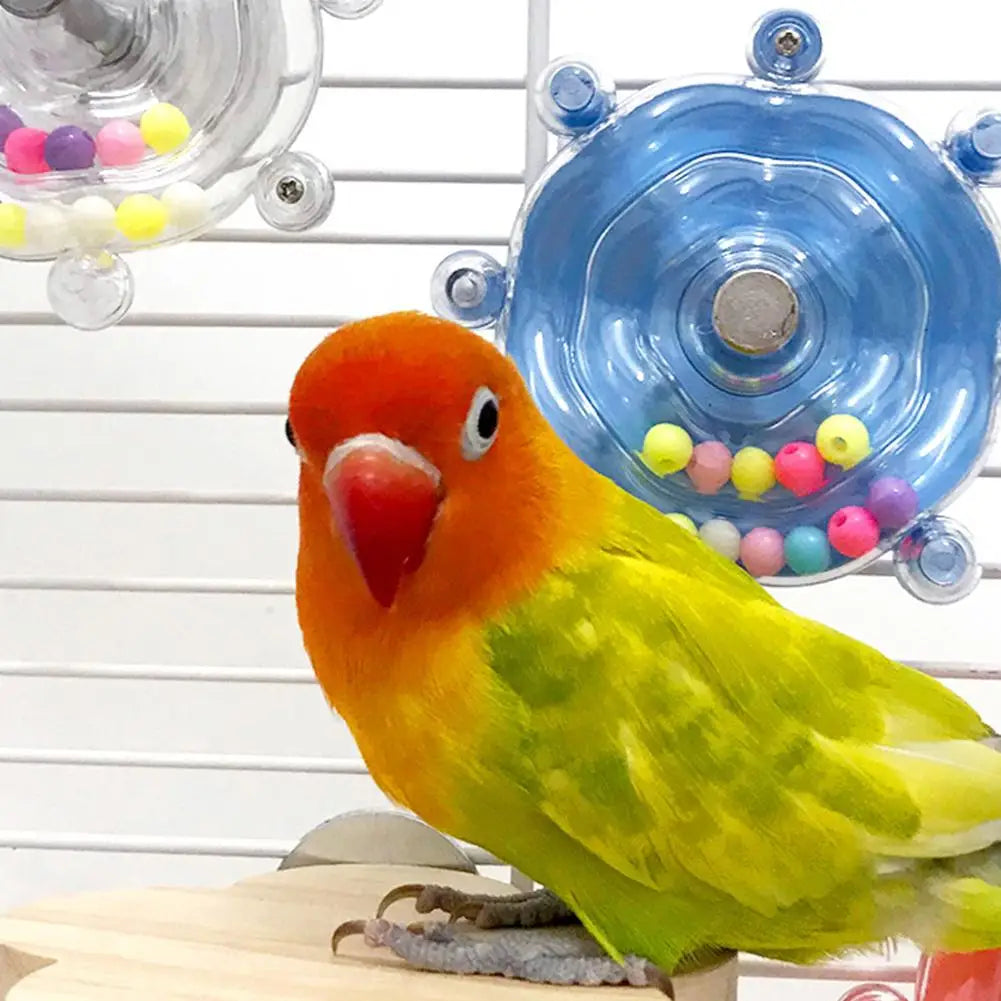 Colorful parrot in a cage with toys and perches