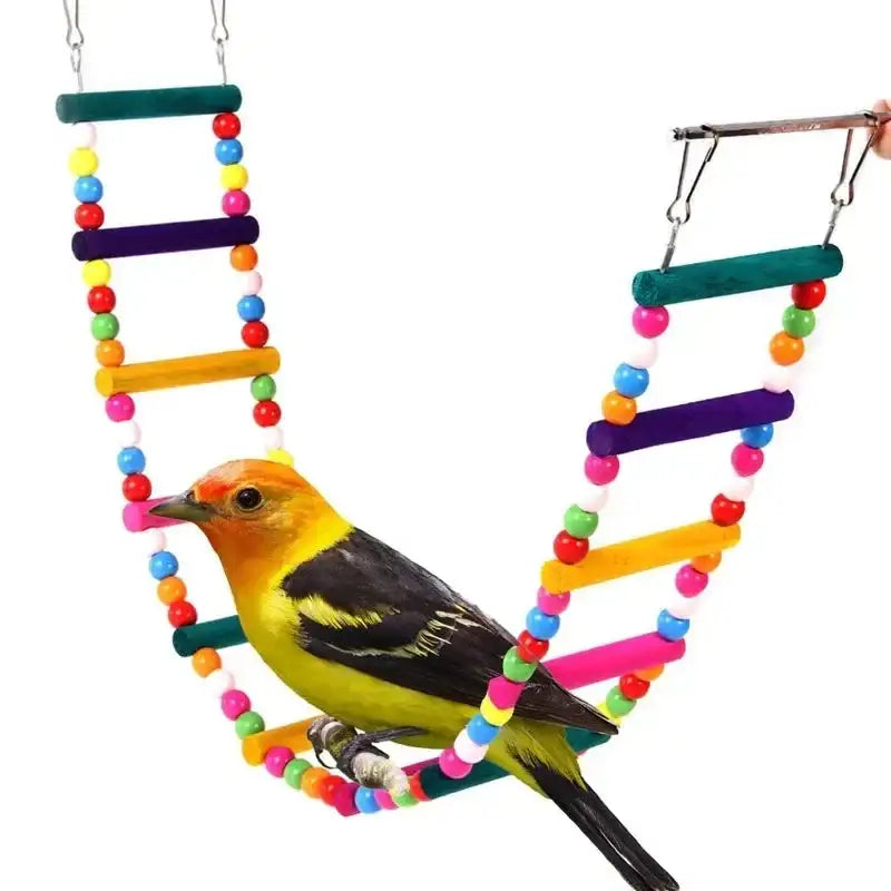 Bird Toys Set: Swing, Chewing, and Training Toys for Small Parrots - Hammock, Bell, and Perch with Ladder