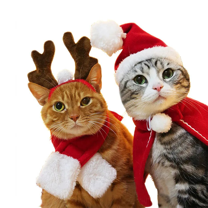 Two cats wearing Christmas-themed outfits with a red scarf, Santa hat, and reindeer antlers on a white background.