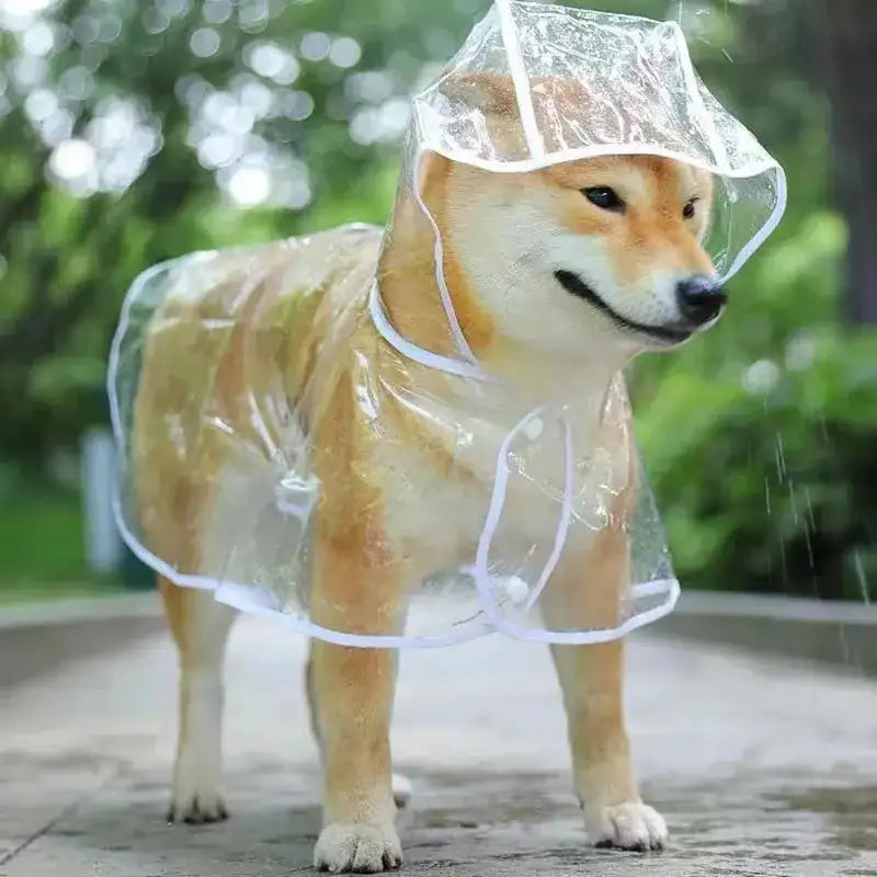 Transparent Pet Raincoat - Waterproof Hooded Jacket for Small Dogs & Puppies - Soft Nylon Rainwear