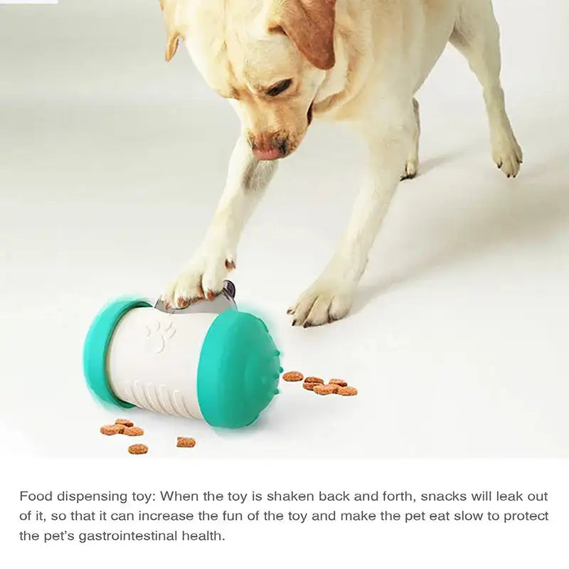 Dog interacting with a food dispensing toy on a white background