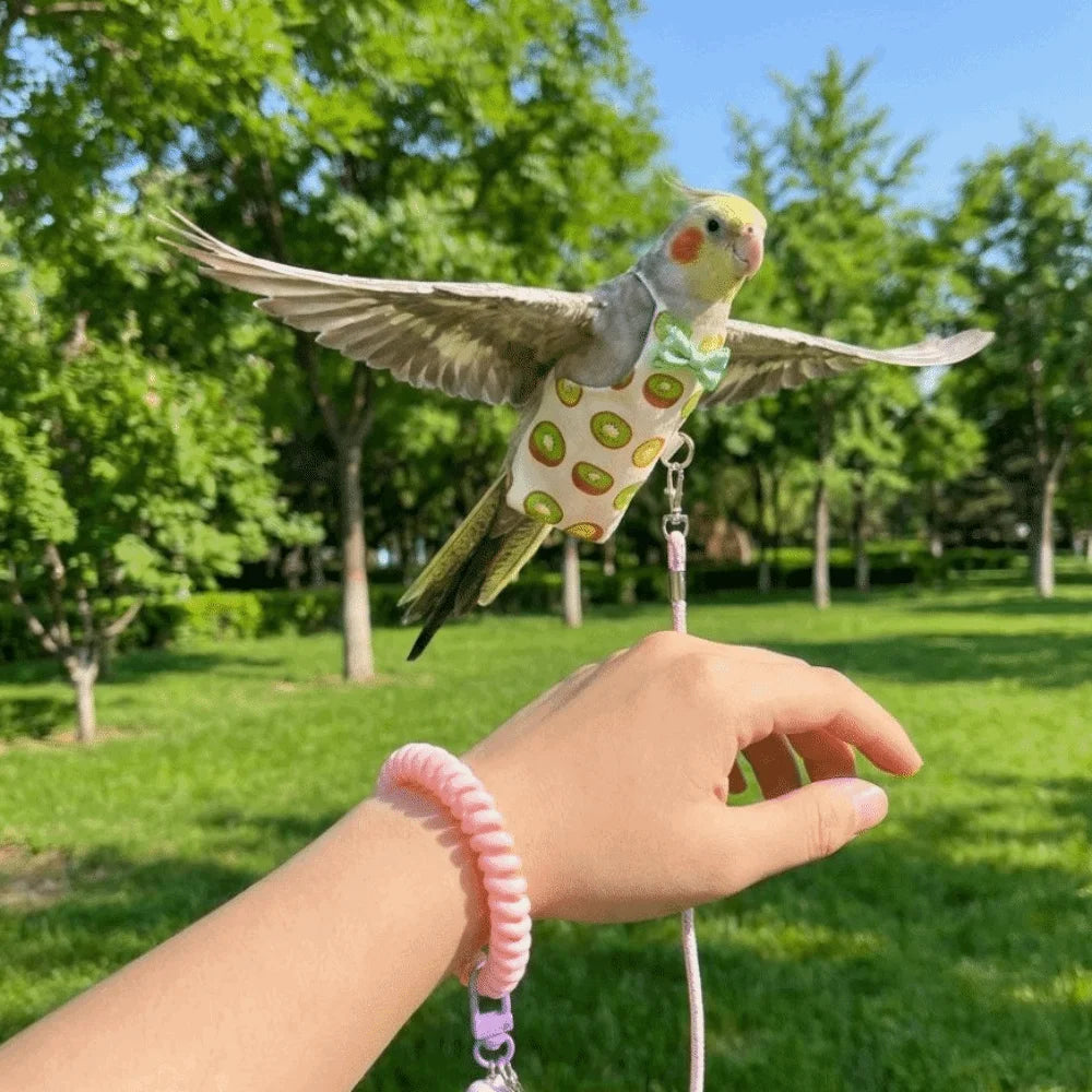 A cockatiel bird wearing a small green and white patterned harness is suspended in mid-air by a person's hand, which is wearing a pink coiled wrist strap. The background is a sunny, green park with trees.