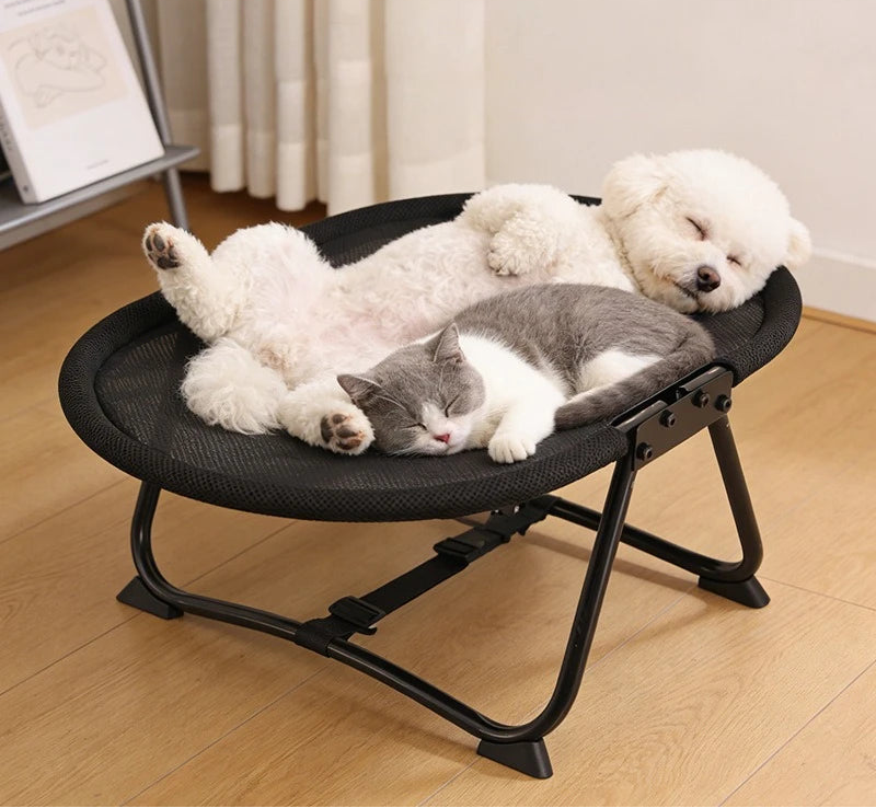 Two dogs and a cat lying on a black pet bed with 'DUSTINLAU' branding.