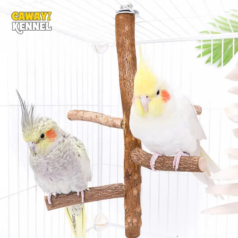 Natural Wood Bird Branch Stand - Hanging Perch for Parakeets, Budgies, and Parrots