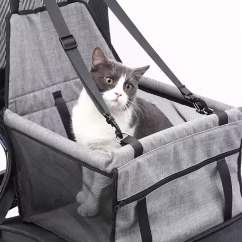 Cat sitting in a gray car seat with straps on a white background