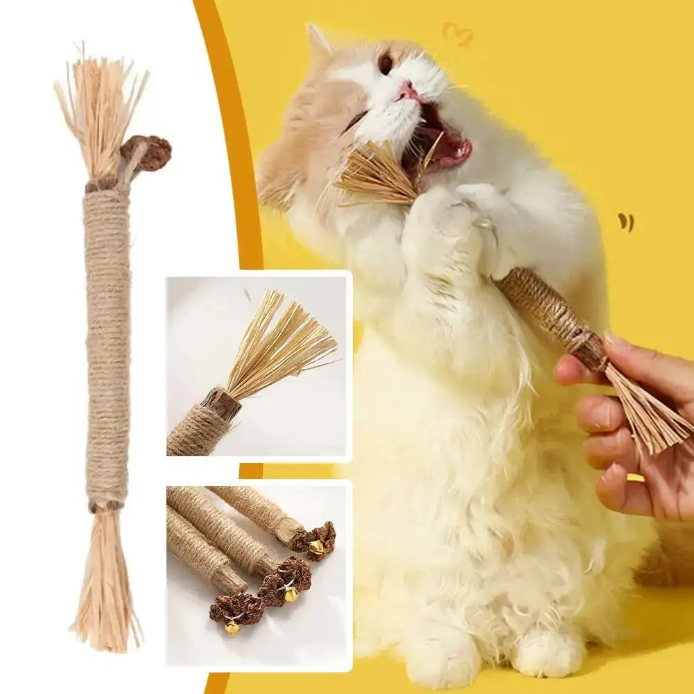 Natural Silvervine Cat Chew Stick - Dental Teething Toy with Catnip for Kittens, Catnip-Infused Teeth Cleaning Snacks