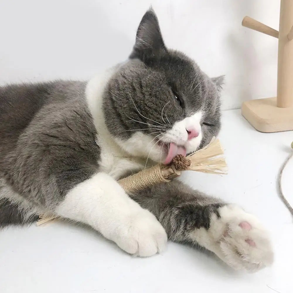 22cm Silvervine & Catnip Dental Chew Stick - Sisal Cat Scratching Toy for Teeth Cleaning & Training