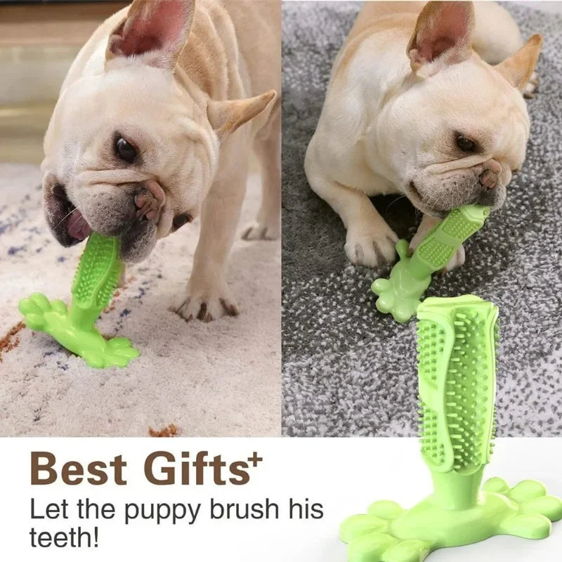 Cactus Dental Chew Toy: Self-Cleaning Toothbrush & Treat Dispenser for All Dogs