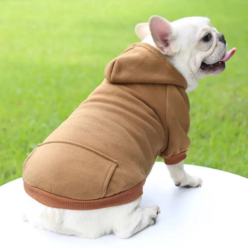 Fashion Dog Clothing – Thickened Warm Hooded Sweater for Small Pets – Autumn & Winter Solid Color Casual Wear!