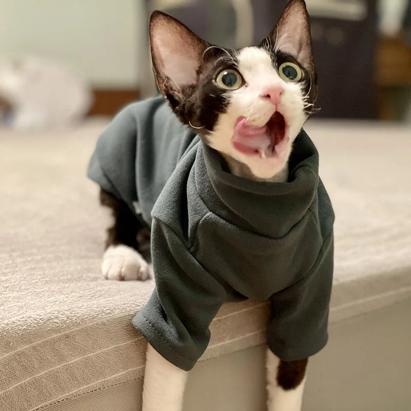 Cat wearing a green sweater on a couch