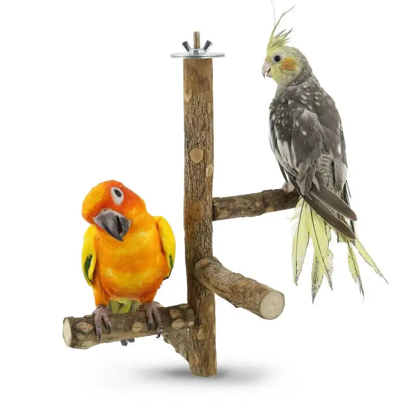 Natural Wood Bird Branch Stand - Hanging Perch for Parakeets, Budgies, and Parrots