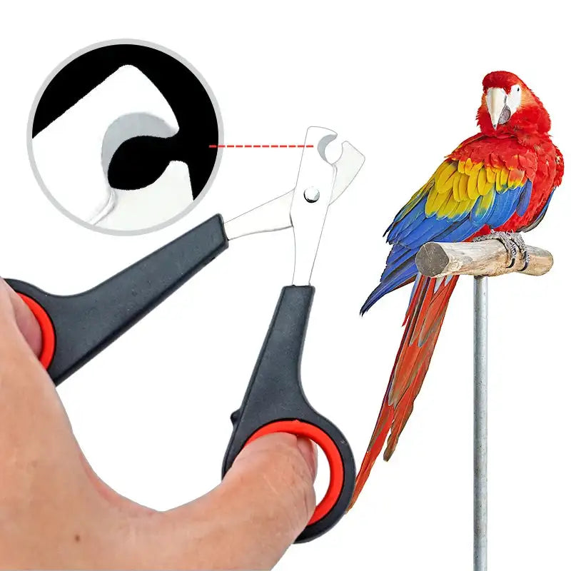 Stainless Steel Bird Nail Clipper - Essential Grooming Tool for Parrots and Small Animals