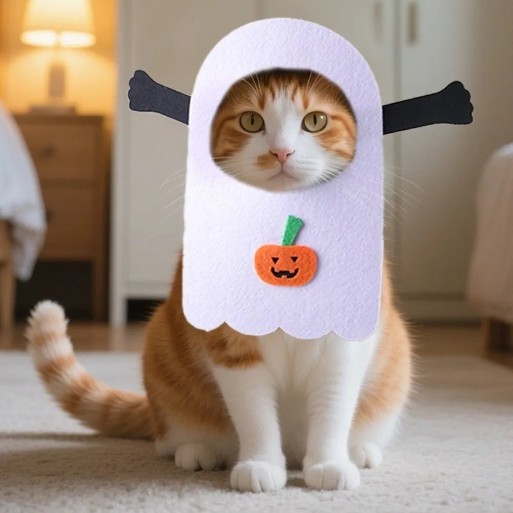 Cat wearing a ghost costume with a pumpkin on a carpeted floor.