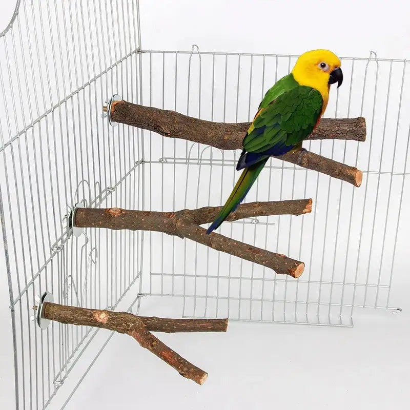Natural Wood Bird Perches - Perfectly Sized Stands for Happy Birds