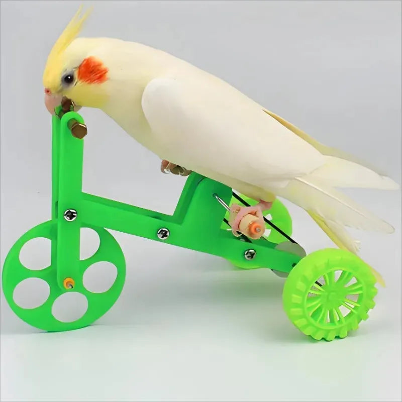 Parrot Bike – Pet Bird Interactive Toy, Training Supplies for Small Birds, Fun Parrot Training Prop