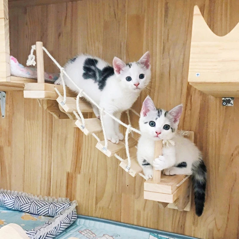 Two cats on a wooden cat tree against a wooden wall.