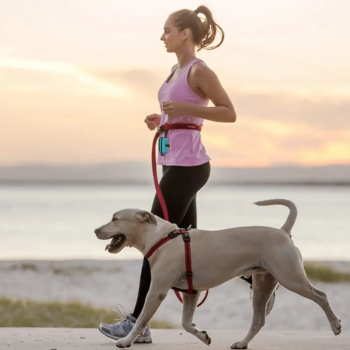 2-in-1 Hands-Free Poop Bag Dispenser w/Leash Clip & Storage Pocket - Waterproof