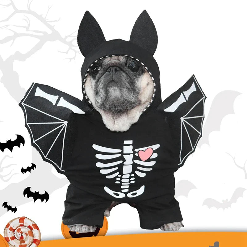 Dog wearing a black bat costume with skeleton design on a white background