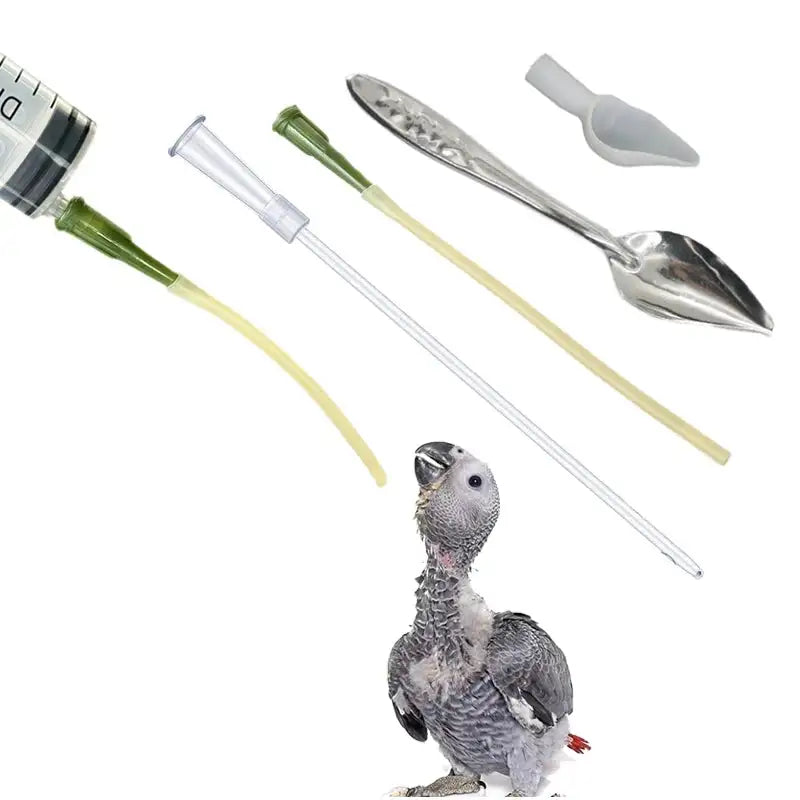 Bird Feeding Dropper and Syringe Kit - Versatile Feeder for Water, Milk, and Liquid Food