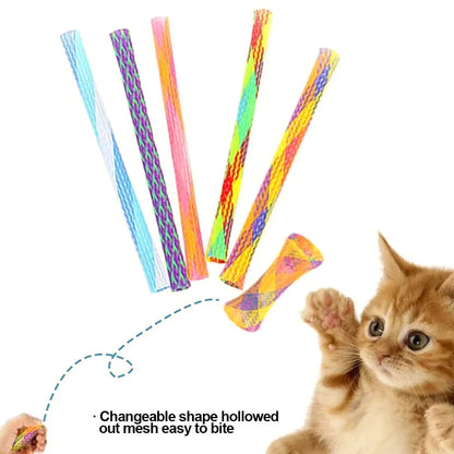 10-Pack Bouncy Cat Spring Toys – Colorful Interactive Chew Toys for Kittens & Cats, Non-Toxic & Durable