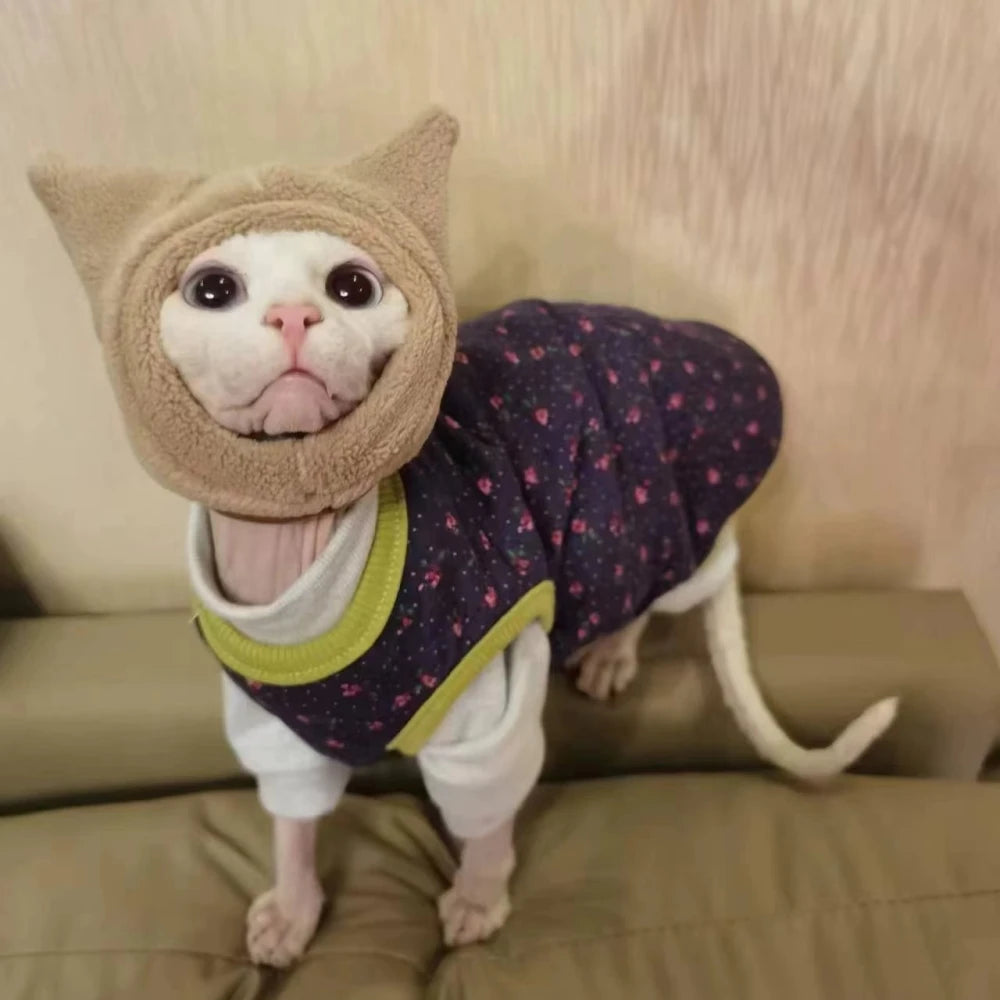Cat wearing a cat-shaped hat and patterned coat on a beige couch