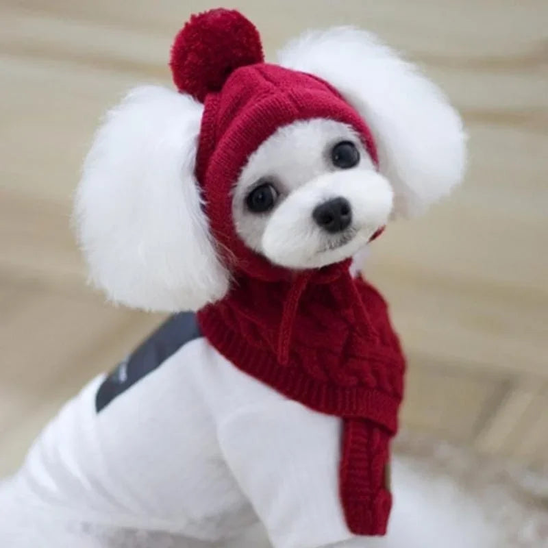 Small white dog wearing a red knitted hat and scarf on a beige background