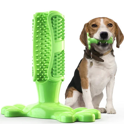 Cactus Dental Chew Toy: Self-Cleaning Toothbrush & Treat Dispenser for All Dogs