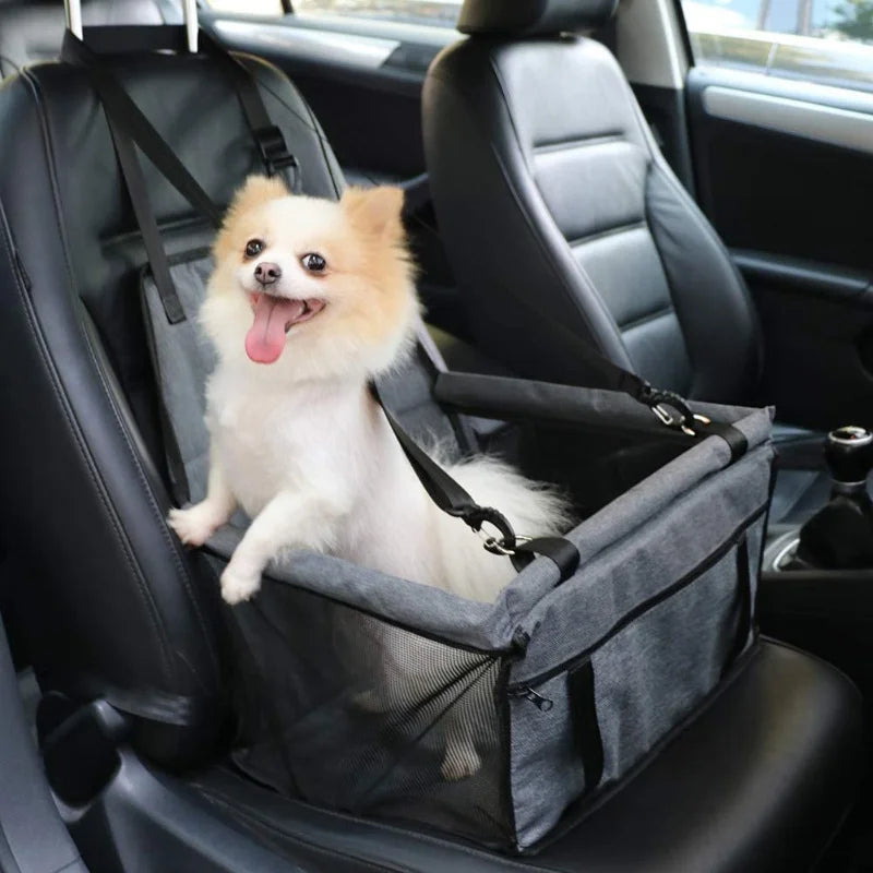 Small dog sitting in a gray pet seat in a car