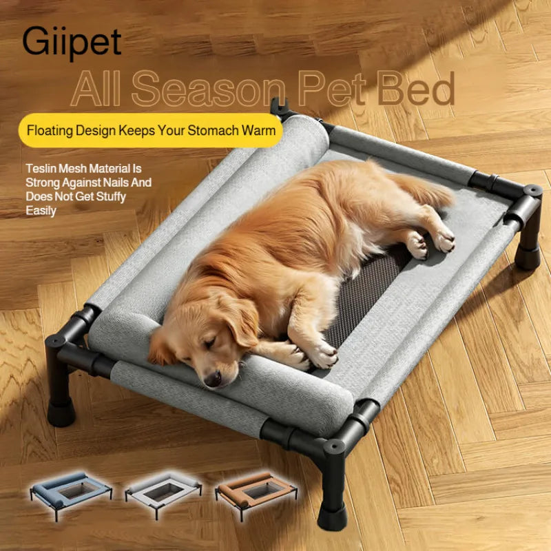 Dog lying on a gray pet bed with black metal frame on a wooden floor.