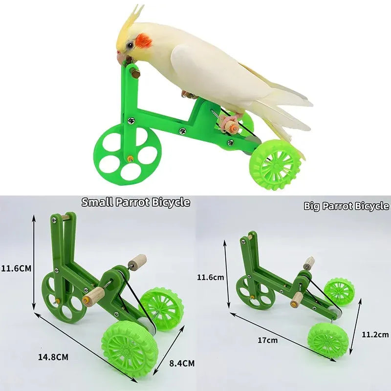Parrot Bike – Pet Bird Interactive Toy, Training Supplies for Small Birds, Fun Parrot Training Prop