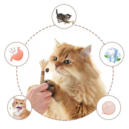 22cm Silvervine & Catnip Dental Chew Stick - Sisal Cat Scratching Toy for Teeth Cleaning & Training