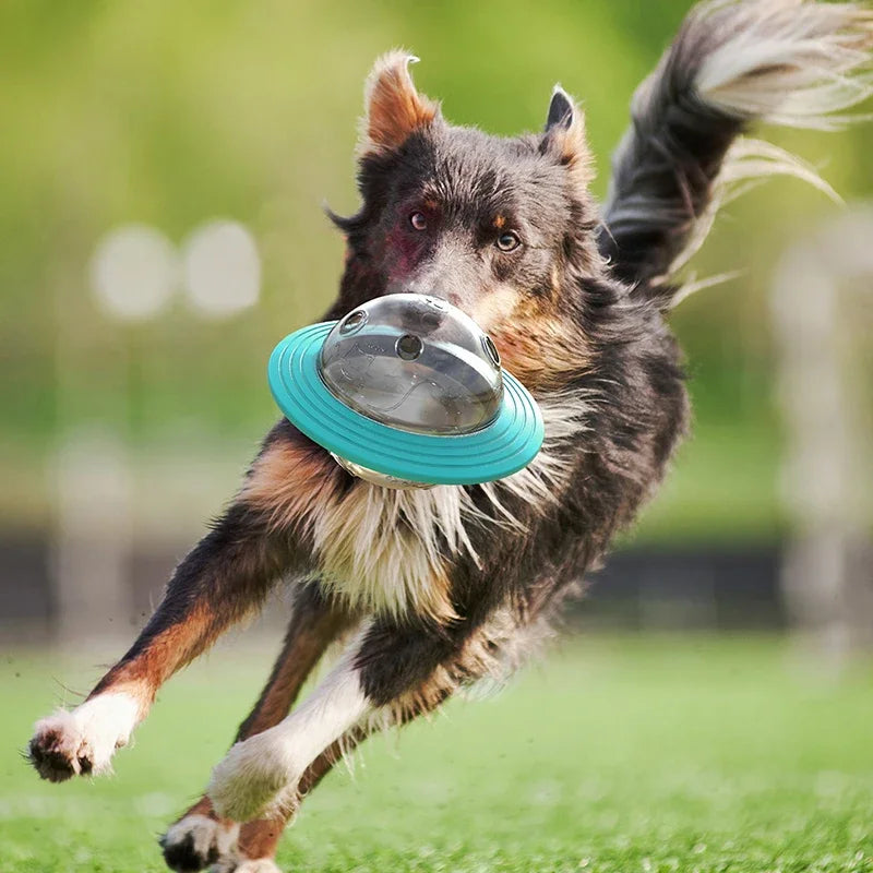 2-in-1 Flying Disc & Slow Feeder Puzzle Toy for Dogs/Cats - IQ Training, Anti-Choke, Durable Chew
