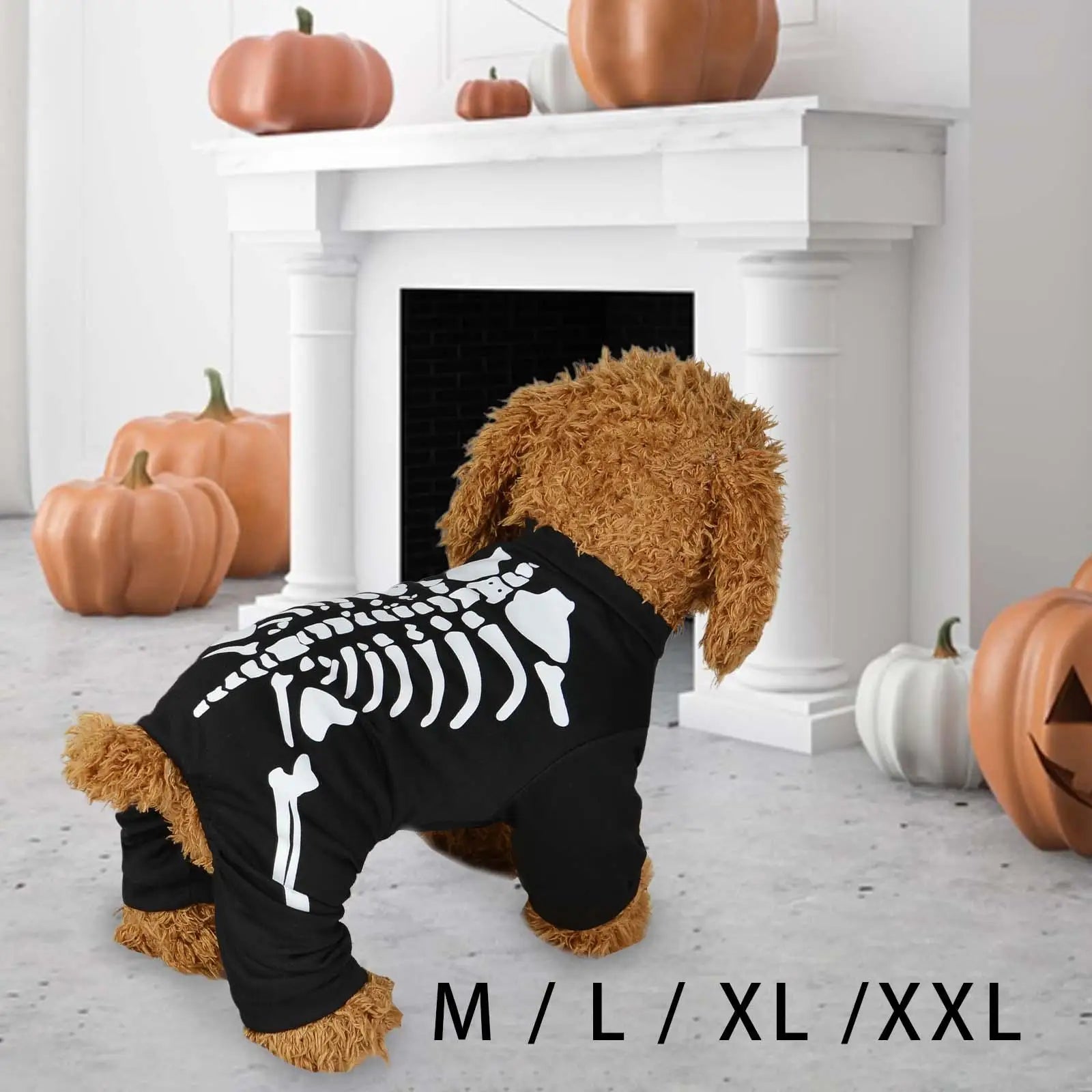 Dog wearing a black skeleton costume in front of a fireplace with pumpkins.