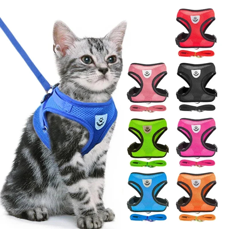 Adjustable Cat & Dog Harness Vest – Comfortable Walking Lead & Leash for Small to Medium Pets!