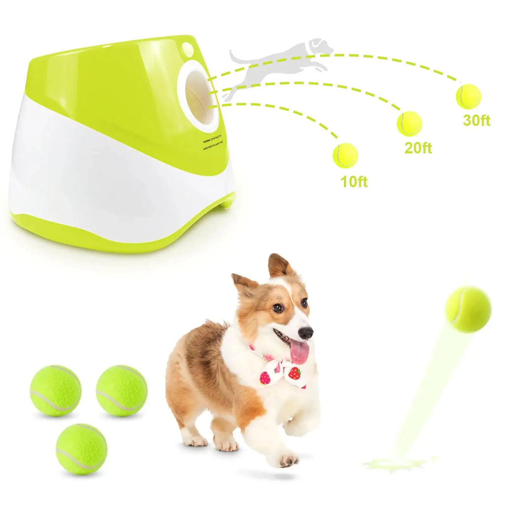 Interactive Dog Ball Launcher: Unleash the Fun! 🎾🐾