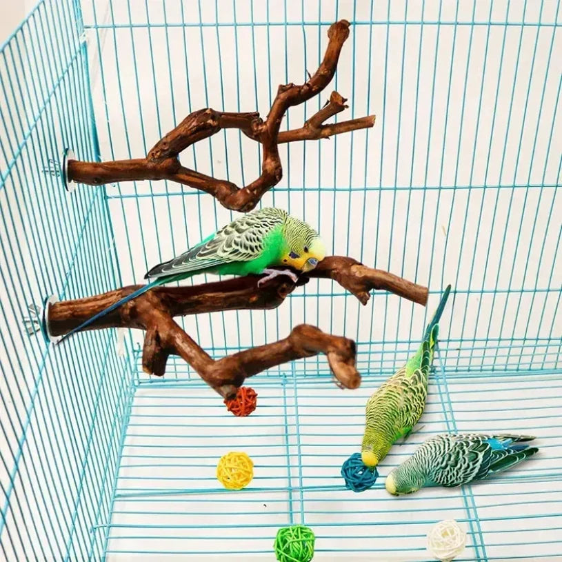 Birds perched on a branch inside a teal birdcage with toys.