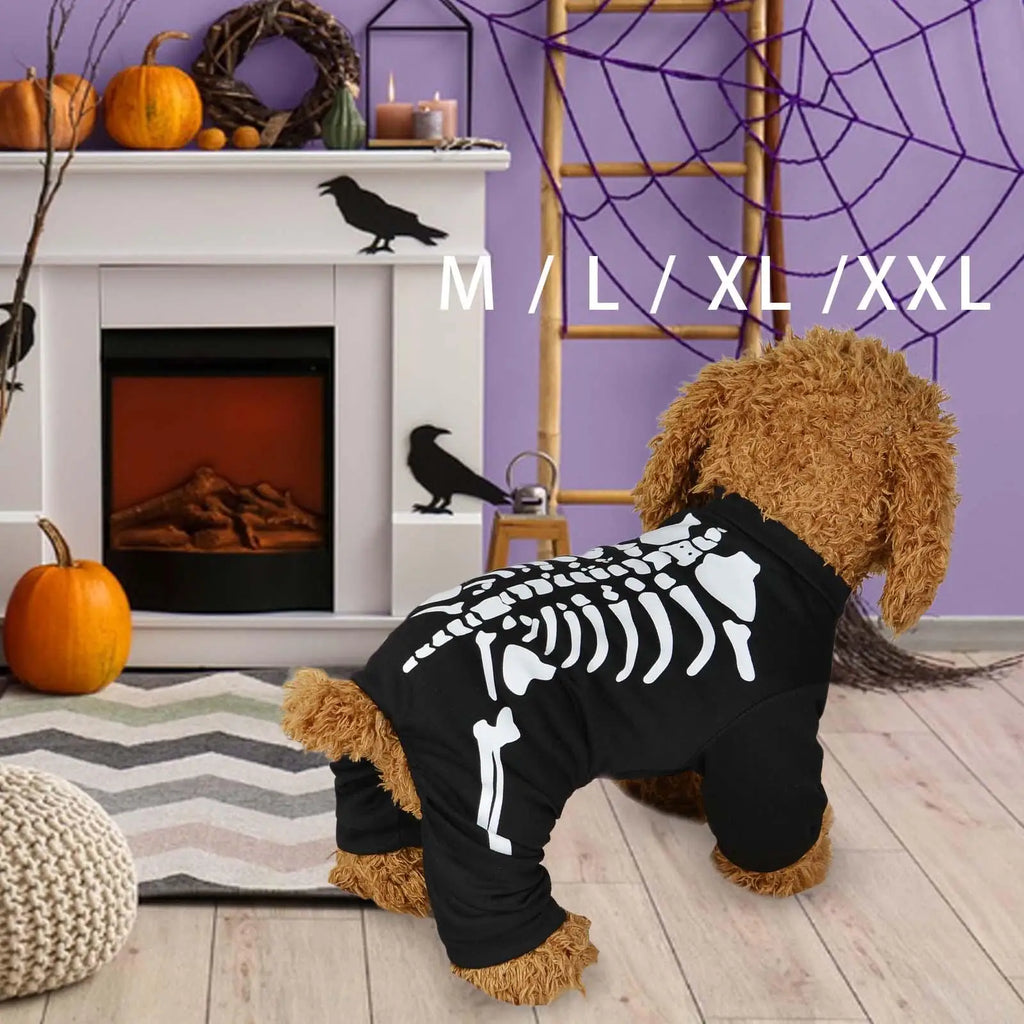 Dog wearing a black skeleton hoodie in a Halloween-themed room with pumpkins and a fireplace.