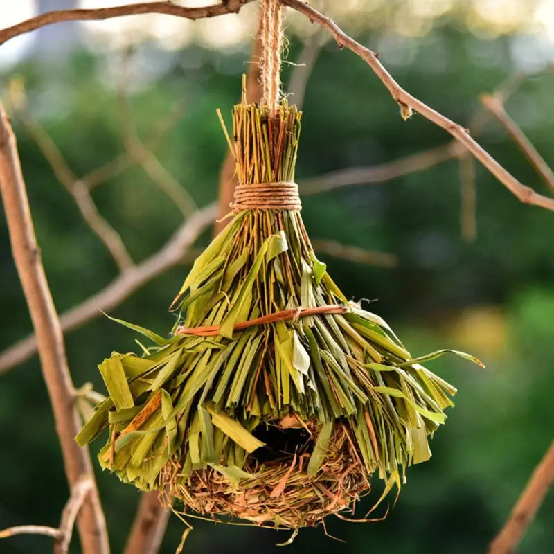 Broom made of dried plants hanging from a branch with a blurred natural background